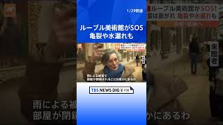 美術品の保存状態が悪化…ルーブル美術館が“SOS” 仏大統領が改修計画  | TBS NEWS DIG #shorts