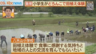 八木山小の児童が田植え体験