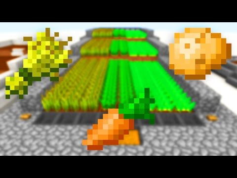 Semi-Automatic Wheat/Carrot/Potato Farm! Semi-Automatic Wheat/Carrot/Potato Farm!