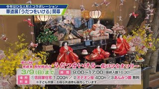 華々しく開幕「うだつをいける」【テレビトクシマ】