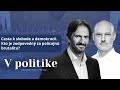 V politike: Cesta k slobode a demokracii. Kto je zodpovedný za policajnú brutalitu?