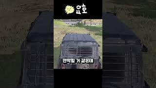 론도에 새로 추가된 BR코인 방탄차