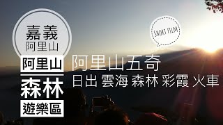 【嘉義阿里山】阿里山五奇 日出 雲海 森林 彩霞 火車 短片