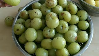 आंवले का आचर धुनी वाला        / Amla ka achar