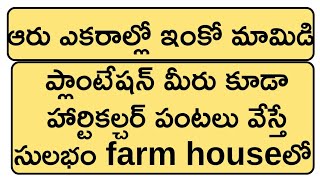 horticulture crops better for six acres land మీకు ఒక ఆరు ఎకరాలు ఉంటే హార్టికల్చర్ పంటలు ఉత్తమం