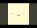 Fragments Harmony Aurora