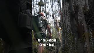 Solo Hiking through Florida Swamps - Ocean to Lake Trail