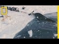 Experience a Traditional Whale Hunt in Northern Alaska | Short Film Showcase