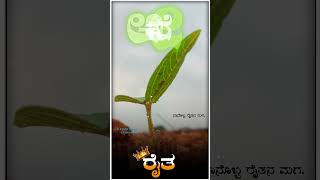 🌱🥰 ನಮ್ಮ ಹೊಲದಲ್ಲಿ 🔰😍