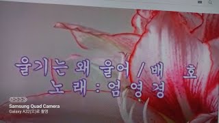 울기는 왜 울어 ~ 배호 ( 가사 제공 )