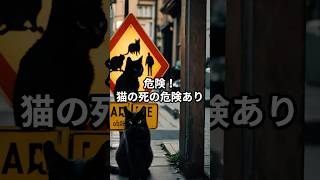 【危険】猫のいる家に絶対に置いてはいけないもの【知らないと後悔する】#shorts  #猫 #猫のいる暮らし #ねこの日常 #猫動画 #ねこのいる暮らし #保護猫