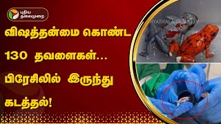 விஷத்தன்மை கொண்ட 130 தவளைகள்... பிரேசிலில் இருந்து கடத்தல் | Columbia | PTT