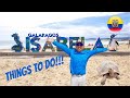 GALAPAGOS ON YOUR OWN!  TOP THINGS TO DO ON ISABELA ISLAND!