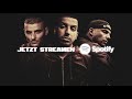 AriBeatz feat. RAF Camora & Sofiane - Perfekt (Audio)