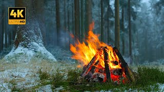 This is a REAL Winter Campfire in a Snowy Forest 🌲❄️ 100% Authentic Sounds