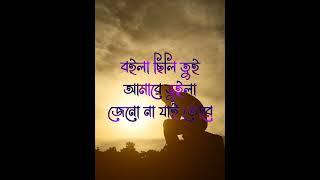 বইলা ছিলি তুই আমারে ভুইলা জেনো না যাই তোরে Mst hridi