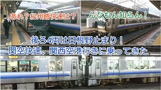 後ろ4両は日根野まで！関空快速、関西空港行きに乗ってきた。