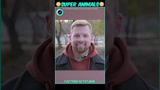 Superheroes மாறியே Superpower இருக்கிற ஒரு சில Animals😯|#tamilshorts|#shorts |#factsinfactstamil