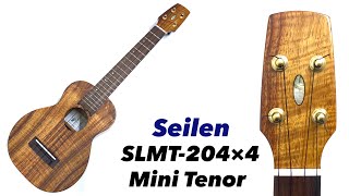 【Seilen】SLMT-204×4 #1516 ミニテナーサイズ