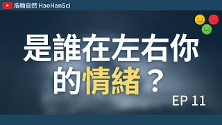 浩翰自然｜深夜反芻是什麼？如何提升快樂賀爾蒙？特定食物竟然能改善你的憂鬱情緒？！【情緒的科學 EP11】