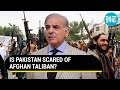 'Please understand...': Pak pleads before Taliban after artillery shelling in Balochistan