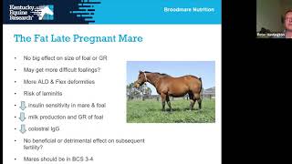 Webinar: Feeding Broodmares