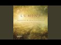 The Hermit (arr. M. Cahill for orchestra)