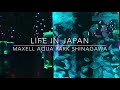 Relaxing images from Maxell Aqua Park Shinagawa | Tokyo Guide