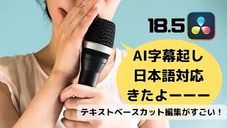 日本語対応AI字幕起こし・テキストベース編集が超！便利。簡単な使い方解説【ダビンチリゾルブ18.5 beta3 アップデート速報】