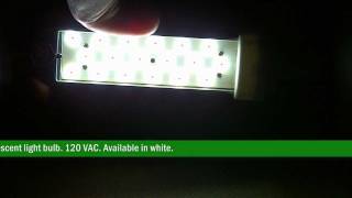 24325 G24 LED Down Light