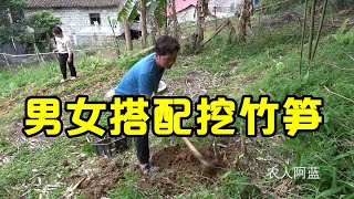 农村小伙进山挖竹笋，发现竹林里遍地是山货，一挖就是几十斤，乐坏了【农人阿蓝】