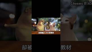 所以这首诗是什么呢！#cheems #funny #poem