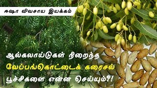 வேப்பங்கொட்டைக் கரைசல்_Neem seed extract