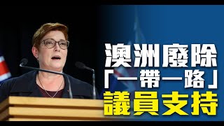 澳洲廢除「一帶一路」 議員支持