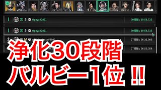 TFD ヴォイド侵食浄化 30段階をクリアするための銃の撃ち方 (通常弾)