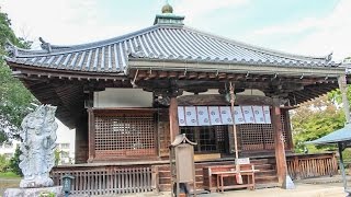 乙訓寺 京都 / Otokuni-dera Temple Kyoto / 교토