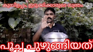 മലയാളിക്ക് പ്രിയപ്പെട്ട കുമ്പിളപ്പം. ഇടുക്കിക്കാരുടെ സ്വന്തം പൂച്ചപുഴുങ്ങിയത്❤️🎉👍🙏