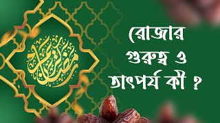 ইসলামে রোজার গুরুত্ব ও তাৎপর্য কী ? Alokito Ramadan | আলোকিত রমজান