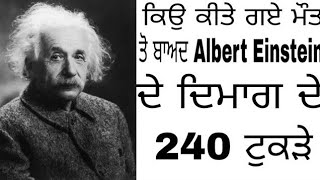 ਕਿਉ ਕੀਤੇ ਗਏ ਇਸ ਵਿਗਆਨੀ ਦੇ ਦਿਮਾਗ ਦੇ ਟੁਕੜੇ। Albert Einstein story | in punjabi