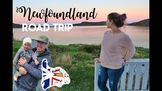 Northern Peninsula Newfoundland Road Trip | Vlog