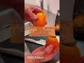 筆柿の名前の由来 2828tokyo fruit japan