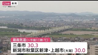 三条市で３０．３℃　新潟県内９地点で今年一番の暑さ（午前１１時現在）　熱中症に注意 (22/06/18 12:18)