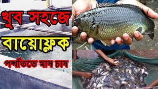 বায়োফ্লক পদ্ধতিতে দেশিয় মাছ চাষের খুটিনাটি তথ্য ||How to know Bioflock fish cultivation ||