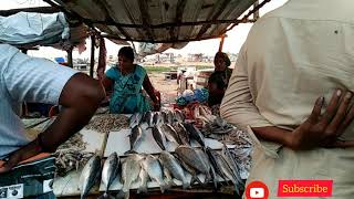 Trailer / Authentic Vanjaram Fish Fry / Marina Light house