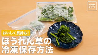 おいしく長持ち！　ほうれん草の冷凍保存方法