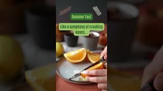 Summer Fact | Facts #shortvideo #shorts #summer #short #status #facts #video