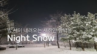 온 맘 다해 | 소 원 | 눈내리는영상BGM | 눈 밟는소리 | 밤에내리는 함박눈