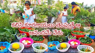 నేను భవిష్యకు మిద్దె తోట పాఠాలు చెబుతూ కూరగాయలు ఆకుకూరలు హార్వెస్ట్ చేస్తున్నాము# harvest