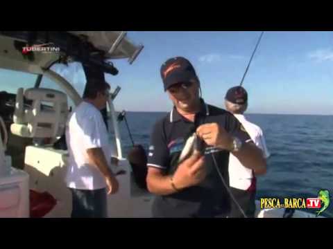 Pescare A Drifting Al Tonno Rosso Pesca Dalla Barca Tv Pesca