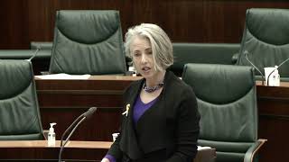 Budget 2020-21 - Tasmanian Job Guarantee, Dr Rosalie Woodruff MP, 17 November 2020